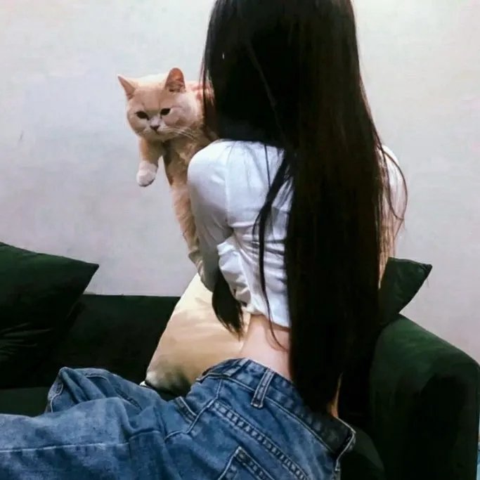 关于灰鸽子的歌
